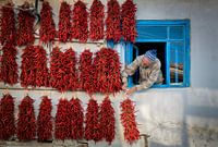 piment rouge