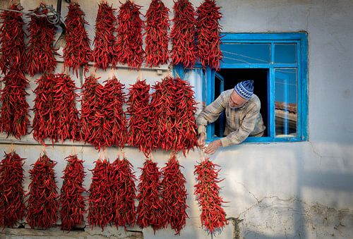 piment rouge sur Murat BAKMAZ