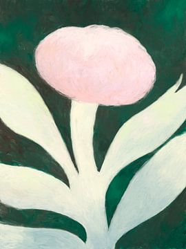 Fleur de lune sur NKTN