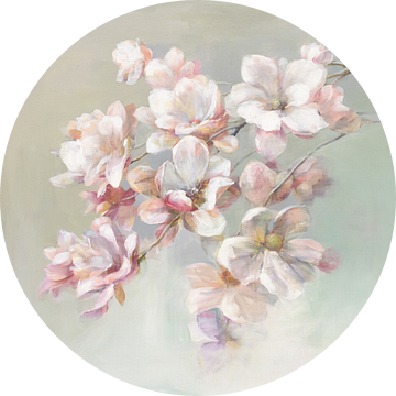 Suiker magnolia, Danhui Nai van Wild Apple