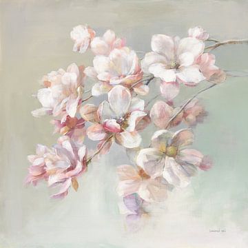 Zucker-Magnolia., Danhui Nai von Wild Apple