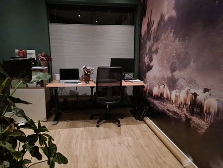 Schaapskudde op het Aekingerzand