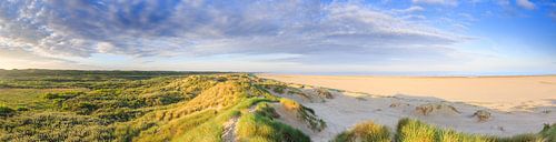 Panorama Nederlands kustlandschap met duinen en strand tijdens zonsopkomst