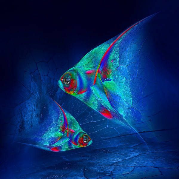 Depth by Frank Seeger