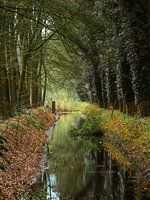 beekje