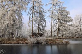 Uferlandschaft Waldweiher bei Mühlingen mit Jagdhütte - Landkreis Konstanz von BlattArt - Christine Horn