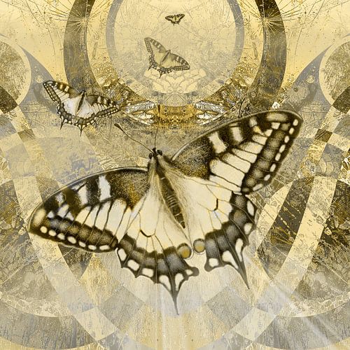 Flying to a new world.