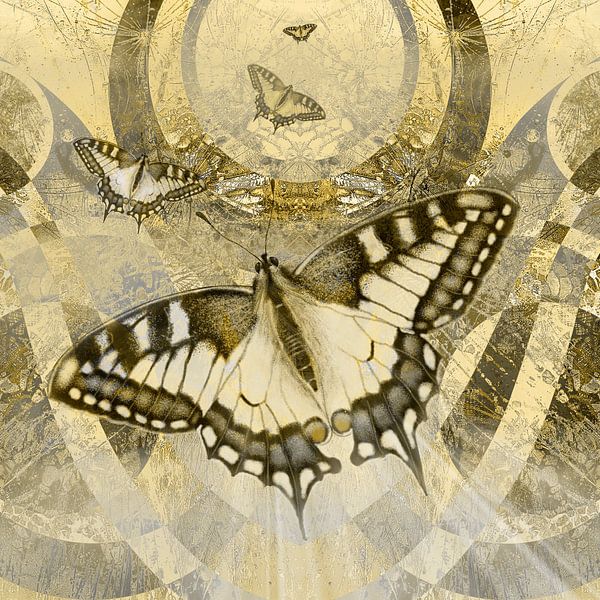 Flying to a new world. by Alie Ekkelenkamp