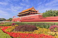 Palace Museum met kleurrijke bloem bed tegen een blauwe hemel van Tony Vingerhoets thumbnail