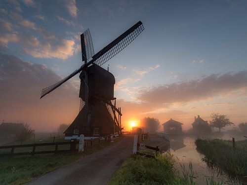 Grands seaux - Langerak