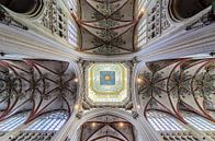 Die St. Johannes-Kathedrale in Den Bosch von Jurgen Hermse Miniaturansicht