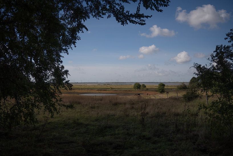Brabantse wal Bergen op Zoom von Loes Uijtdehaag
