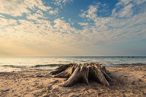 Strand aan de kust van de Oostzee bij Graal Müritz