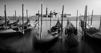 Venice's Icon by Steffon Reid thumbnail