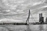 Erasmus Bridge Rotterdam