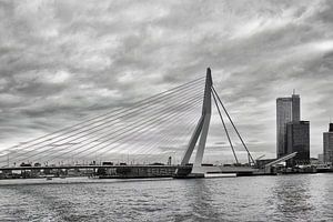 Pont Erasmus Rotterdam