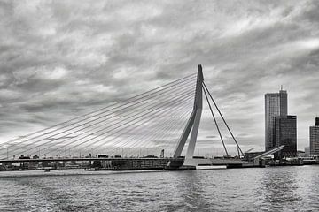Erasmusbrücke Rotterdam von Wilna Thomas