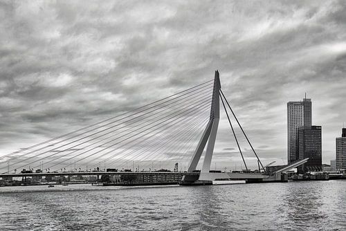 Erasmus Bridge Rotterdam