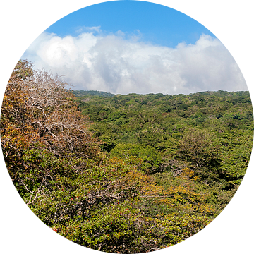 Costa Rica: Rincón de la Vieja Volcano National Park van Maarten Verhees
