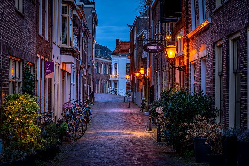 Leiden in Lockdown: Doelensteeg by Carla Matthee