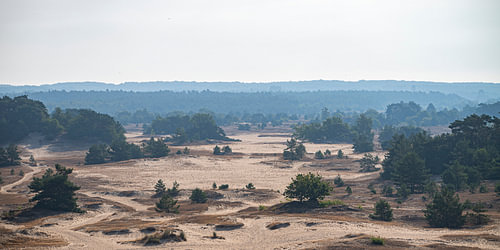Uitzicht over het Kootwijkerzand