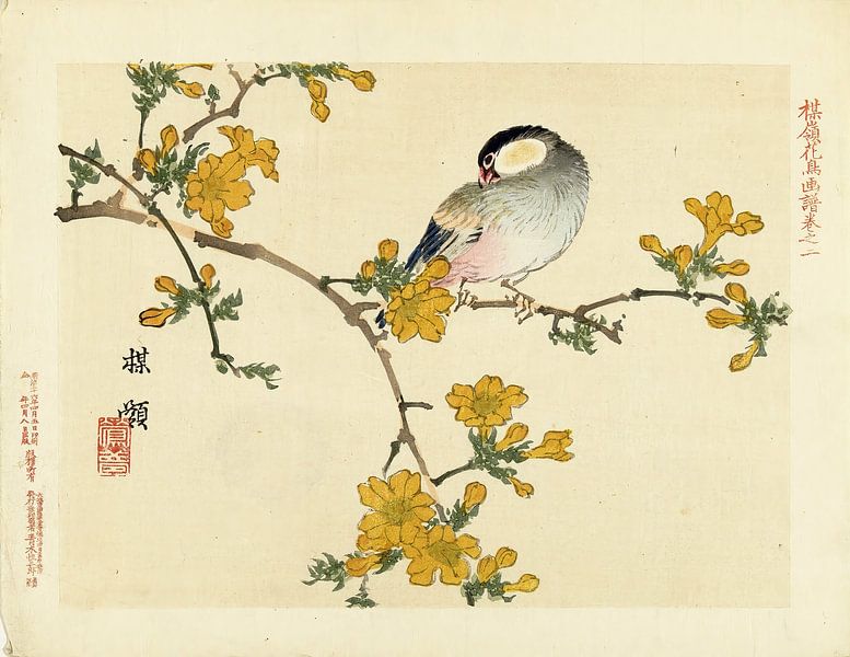 Singvogel auf blühendem Zweig von Kôno Bairei von Woodblock Prints