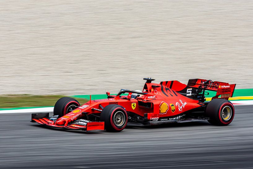 Sebastian Vettel von Erik Noort