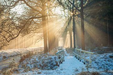 Pont enneigé vers les rayons du soleil