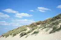 Begroeide duin met blauwe lucht en witte wolken