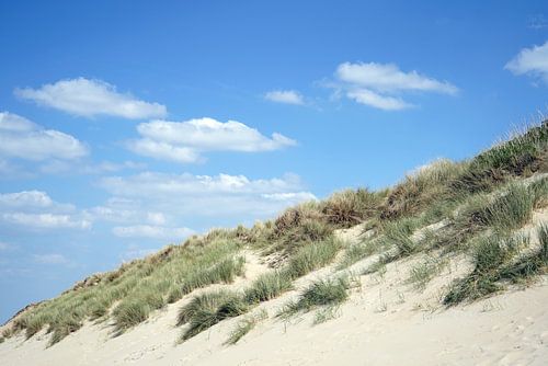 Overgrown dune with blue sky and white clouds
