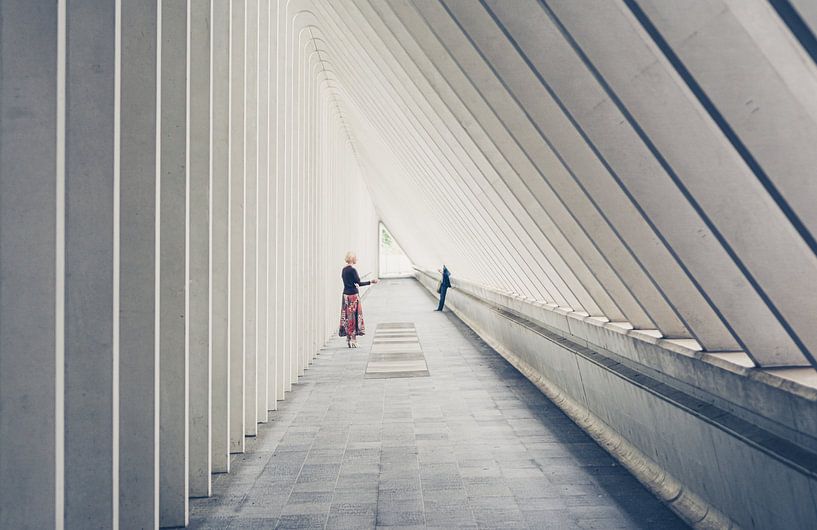 Liege-Guillemins station by Peter Nijsen