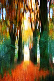 Like a painting  sur Sandra Akkerman