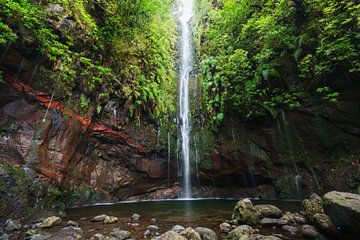 Madeira-Wasserfall von Arjan Bijleveld