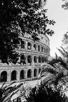 Colosseum Rome in black and white