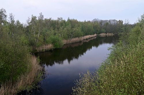 Vue d'un lac au milieu d'un parc boisé