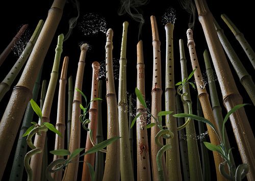 Bamboo flute forest
