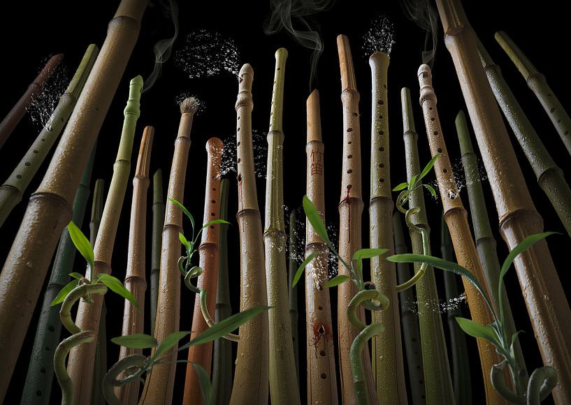 Bamboo flute forest von Olaf Bruhn