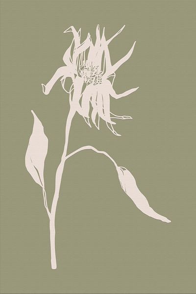 Boho botanical flower on sage green no. 7 by Dina Dankers