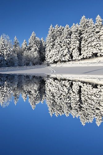 Eerste sneeuw op het meer
