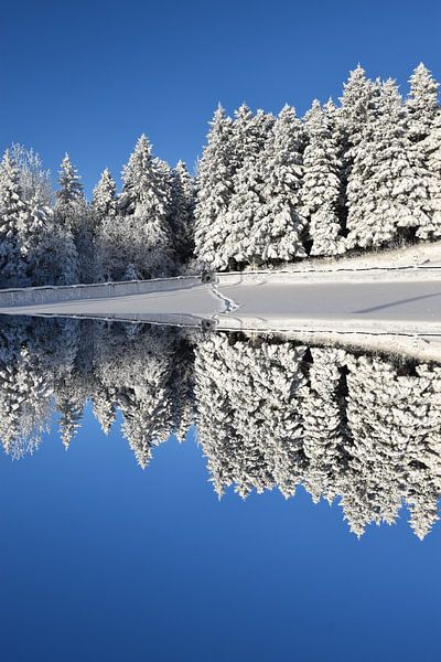 First snow on the lake by Claude Laprise