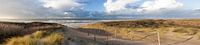 storm by Arjan van Duijvenboden thumbnail