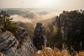 Elbsandsteingebirge - Die Bastei im Nebel zum Sonnenaufgang in der Sächsischen Schweiz