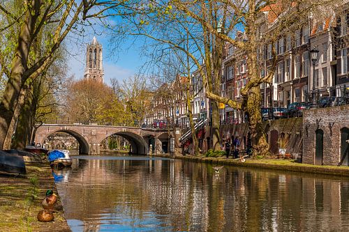 Oudegracht met zicht op de Domtoren, Utrecht