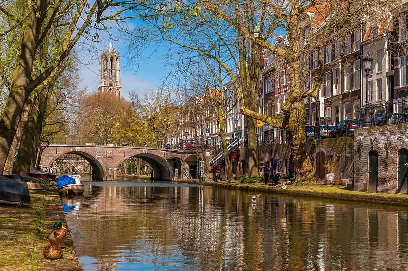 Oudegracht with view of the Dom tower, Utrecht by Martien Janssen