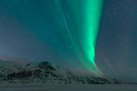 Noorderlicht in de donkere sterrenhemel in de winternacht van Sjoerd van der Wal Fotografie thumbnail