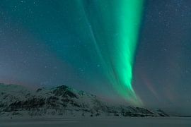 Aurore boréale dans la nuit noire et étoilée de l'hiver sur Sjoerd van der Wal Photographie