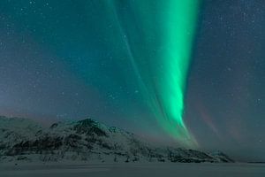 Northern lights in the dark starry winter night