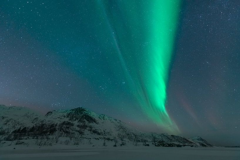 Noorderlicht in de donkere sterrenhemel in de winternacht van Sjoerd van der Wal Fotografie