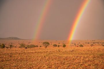 Double arc-en-ciel dans la steppe du Masai Mara sur Fotos by Jan Wehnert