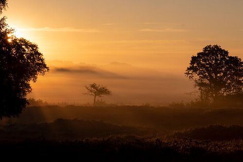 Lever de soleil sur les dunes de Gasterse